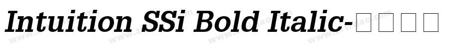 Intuition SSi Bold Italic字体转换
